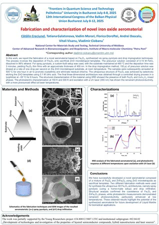 Advanced Functional Materials & Aeromaterial Templates featured image