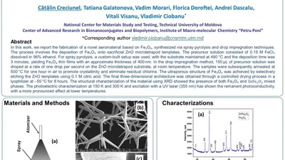 Advanced Functional Materials & Aeromaterial Templates featured image