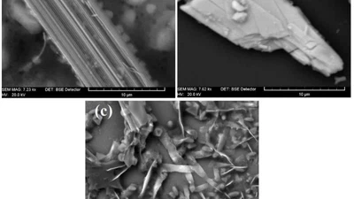 Metode de exfoliere a materialelor stratificate featured image